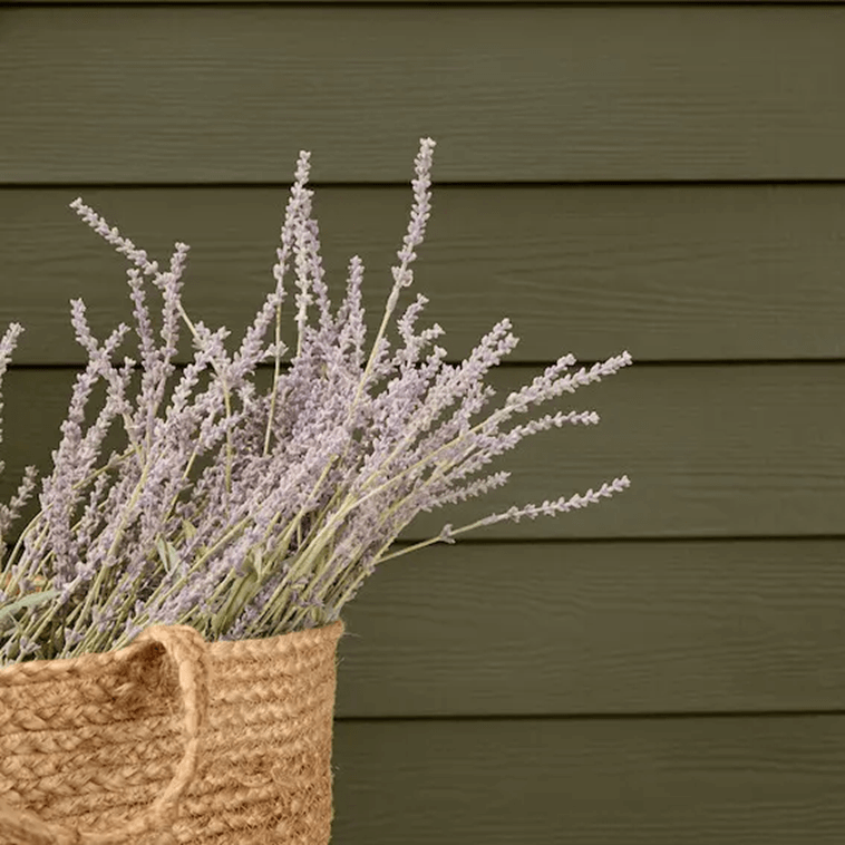 James Hardie lap siding on house next to plant | James Hardie Siding Contractor Warrington | Kenny Construction Group